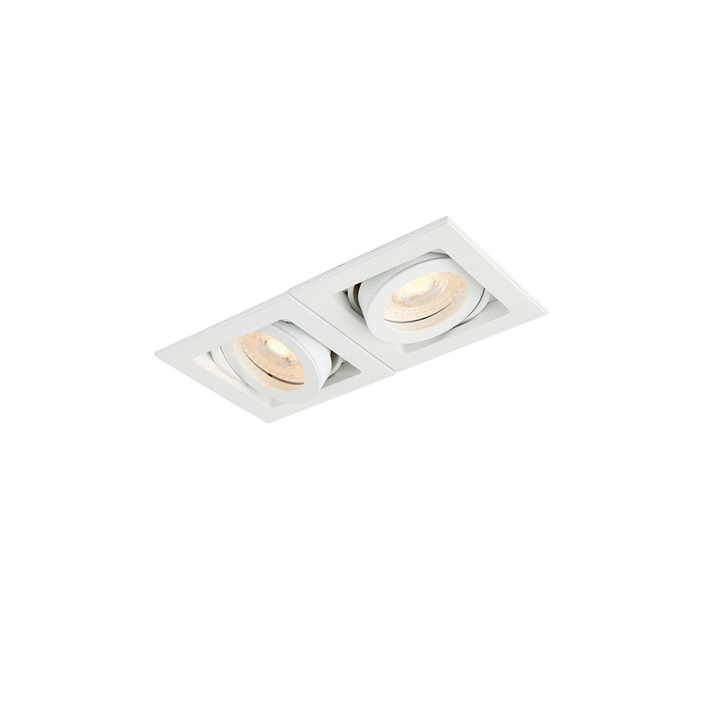 Xeno Twin Downlight in Matt White
