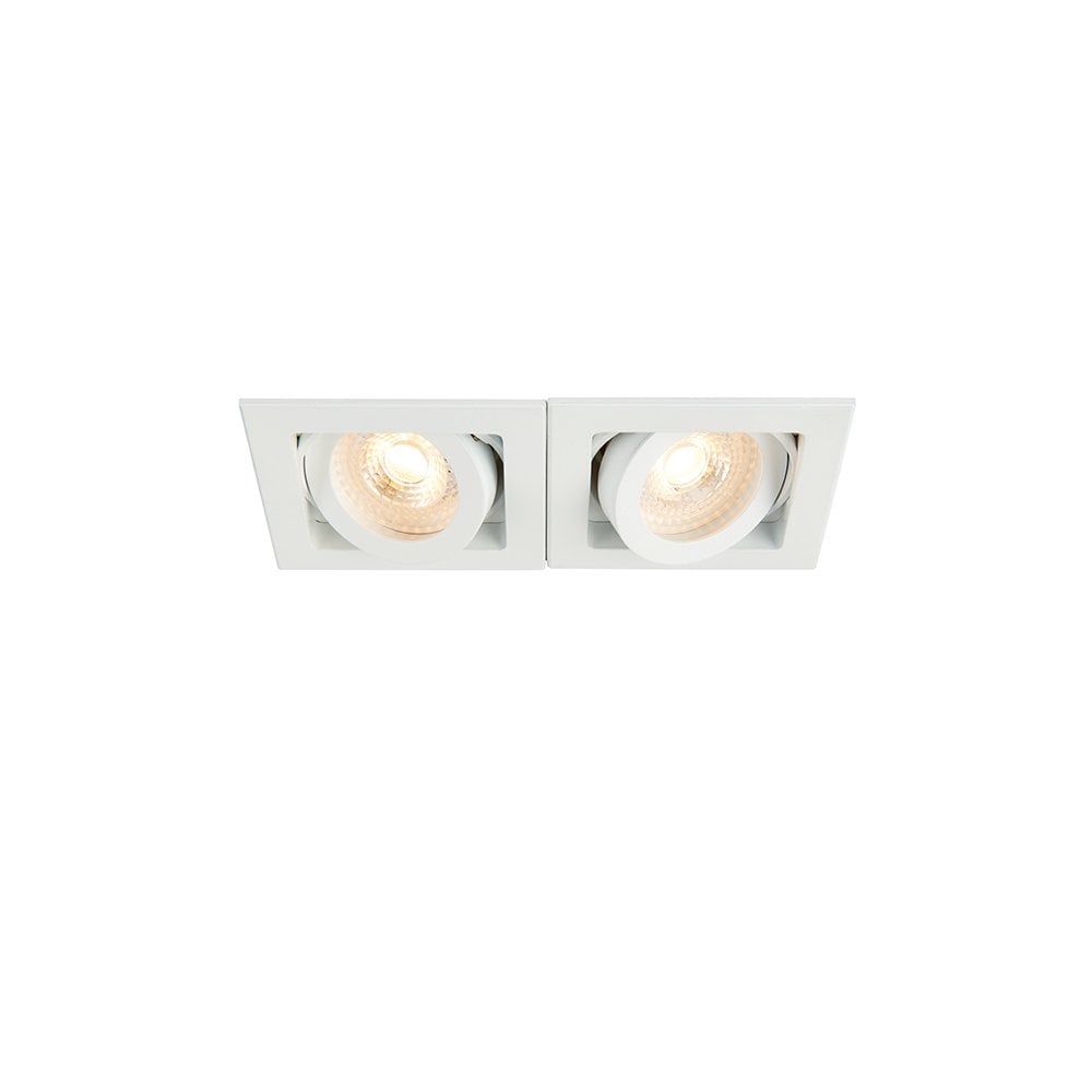 Xeno Twin Downlight in Matt White
