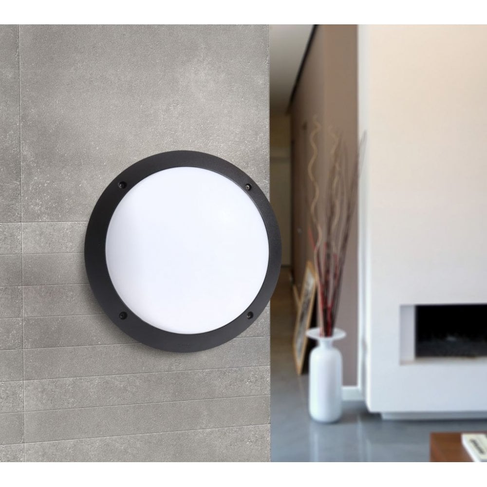 Lucia LED 11W Wall & Ceiling Light Black with Opal Diffuser