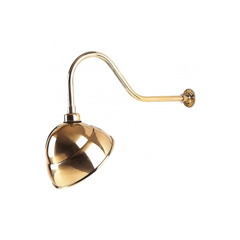 Swan Neck Sign Light in Brass Finish