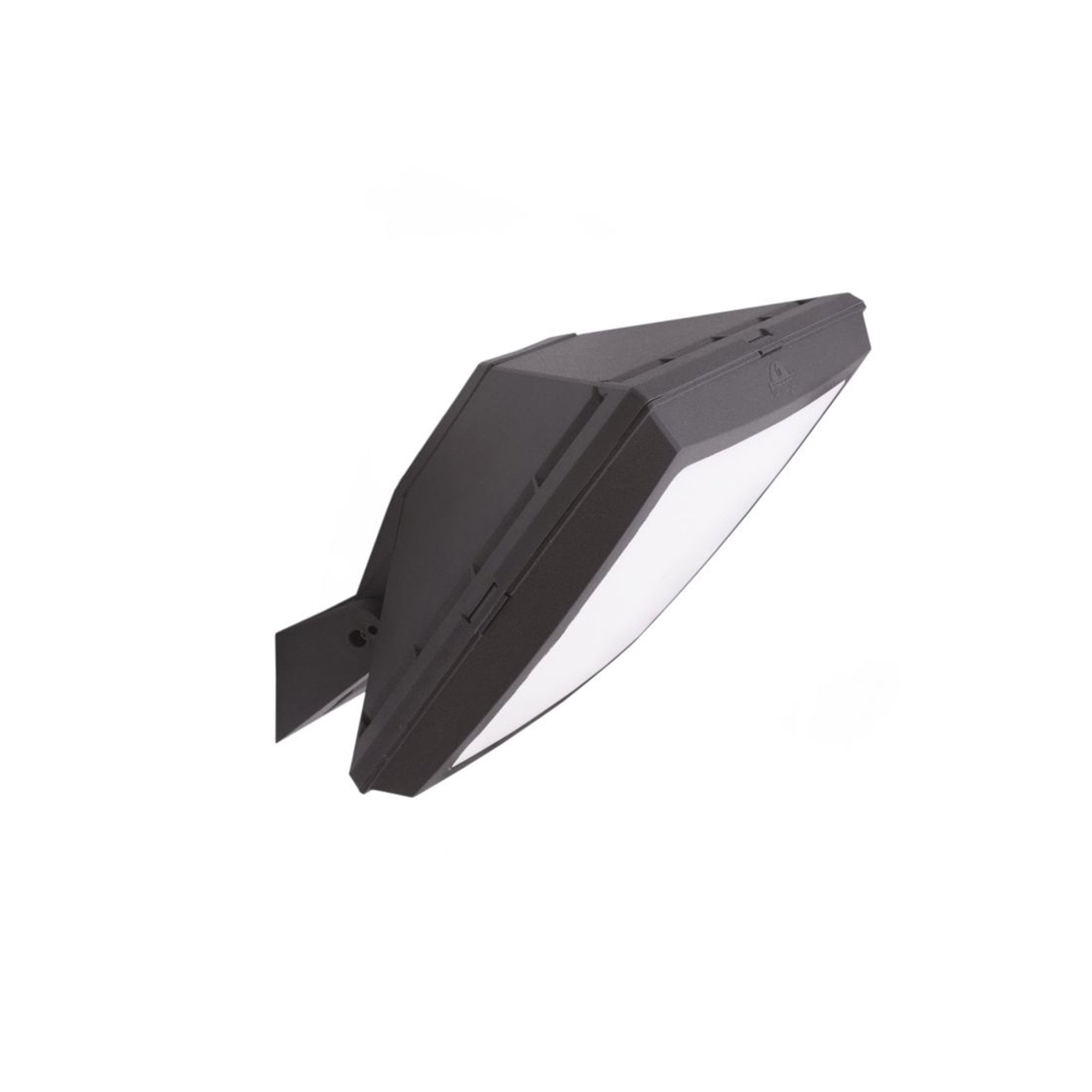 Giova Giuseppe Black 40W LED Floodlight Black