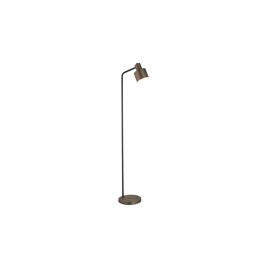 Mayfield Floor Lamp in Bronze Finish