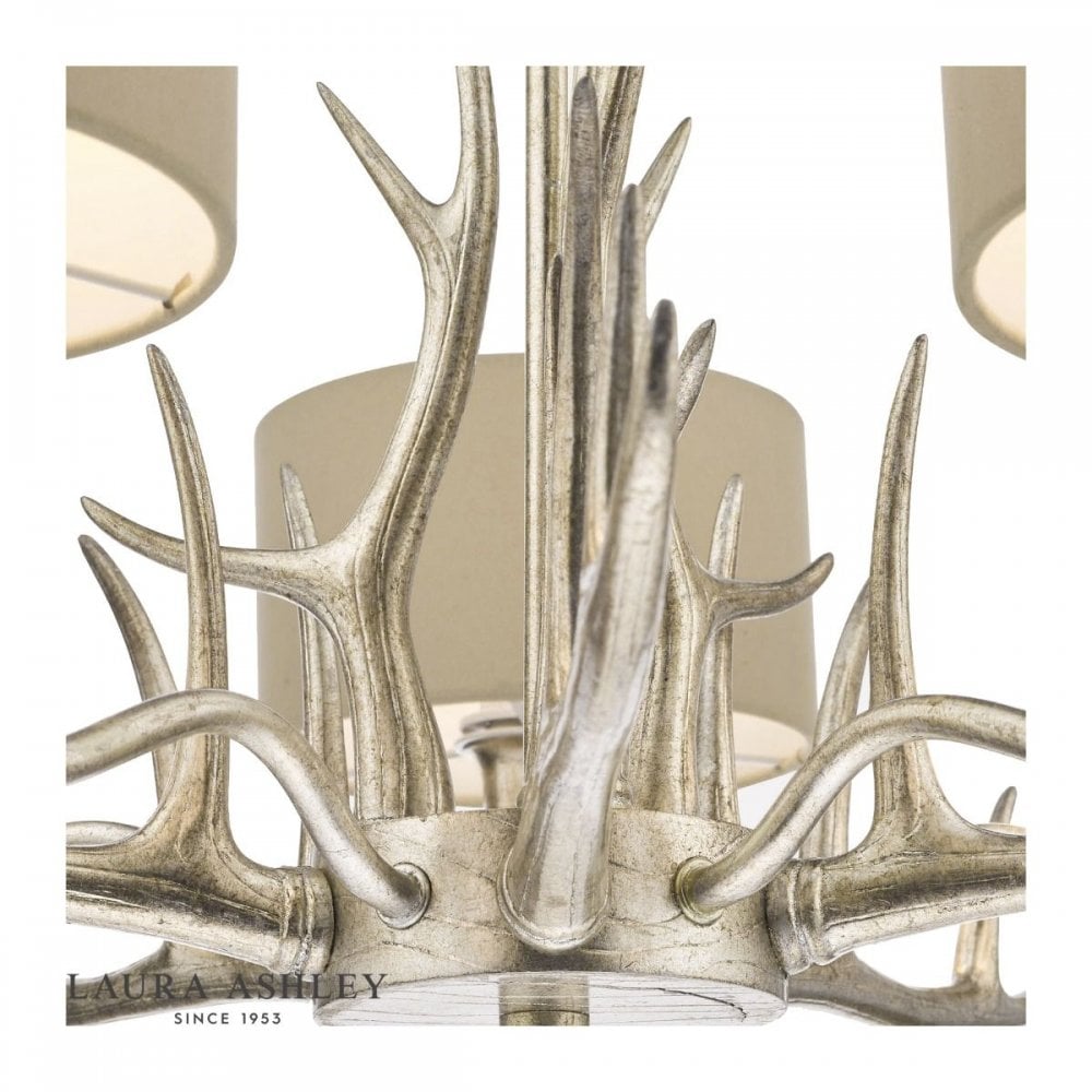 Mulroy 5 light Antler Chandelier Champagne C/W Shades