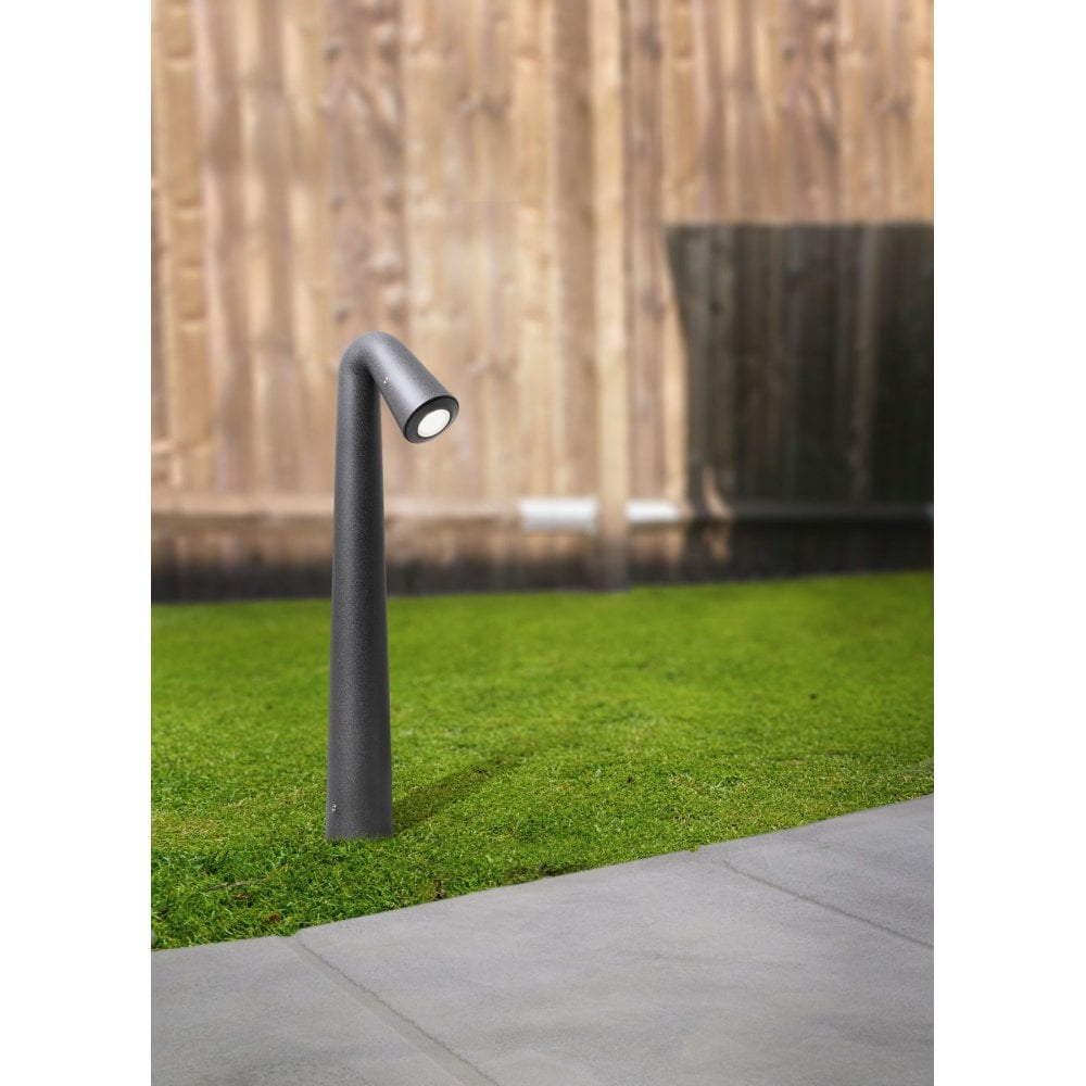 Steven Bollard in Black