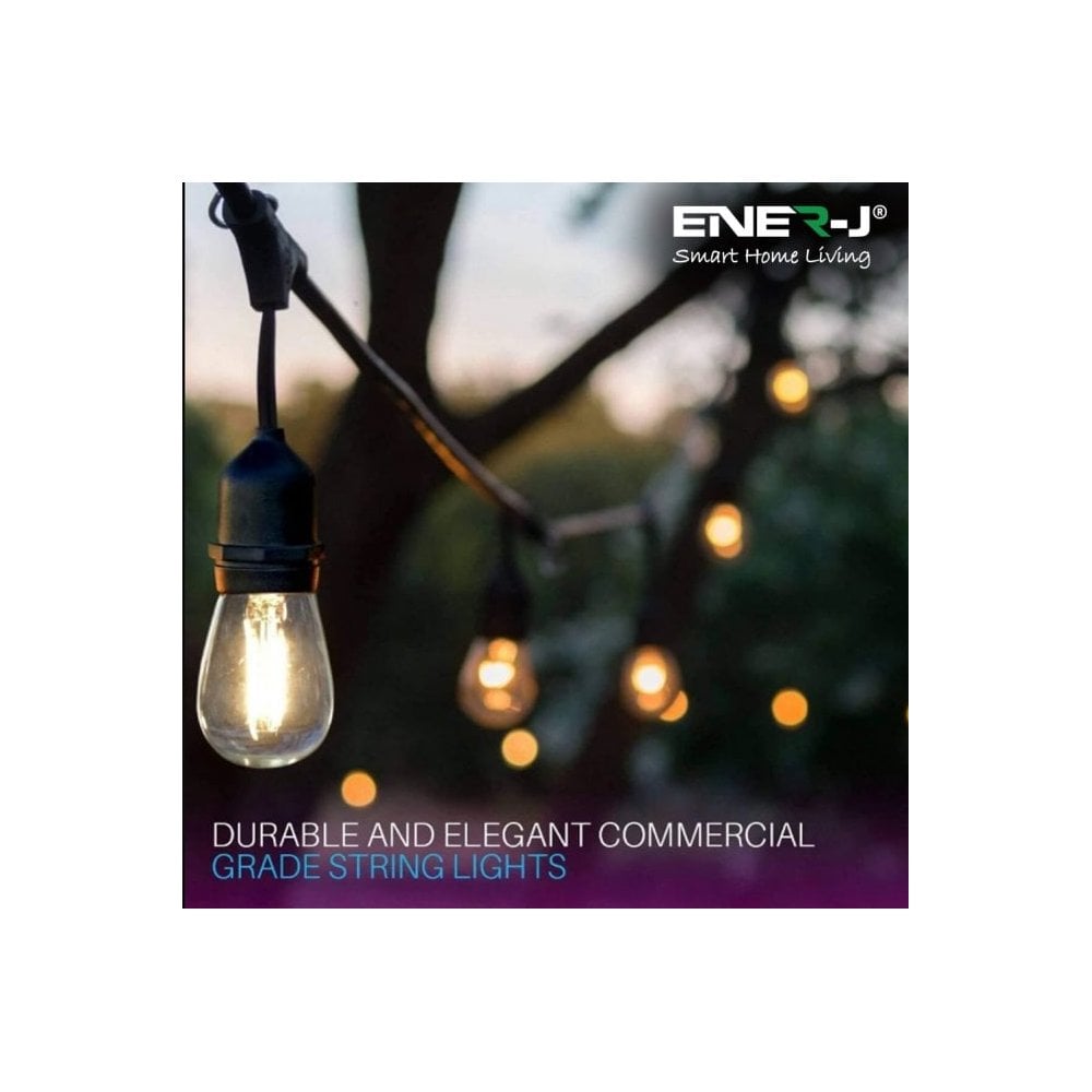 Smart LED Filament String Light Kit