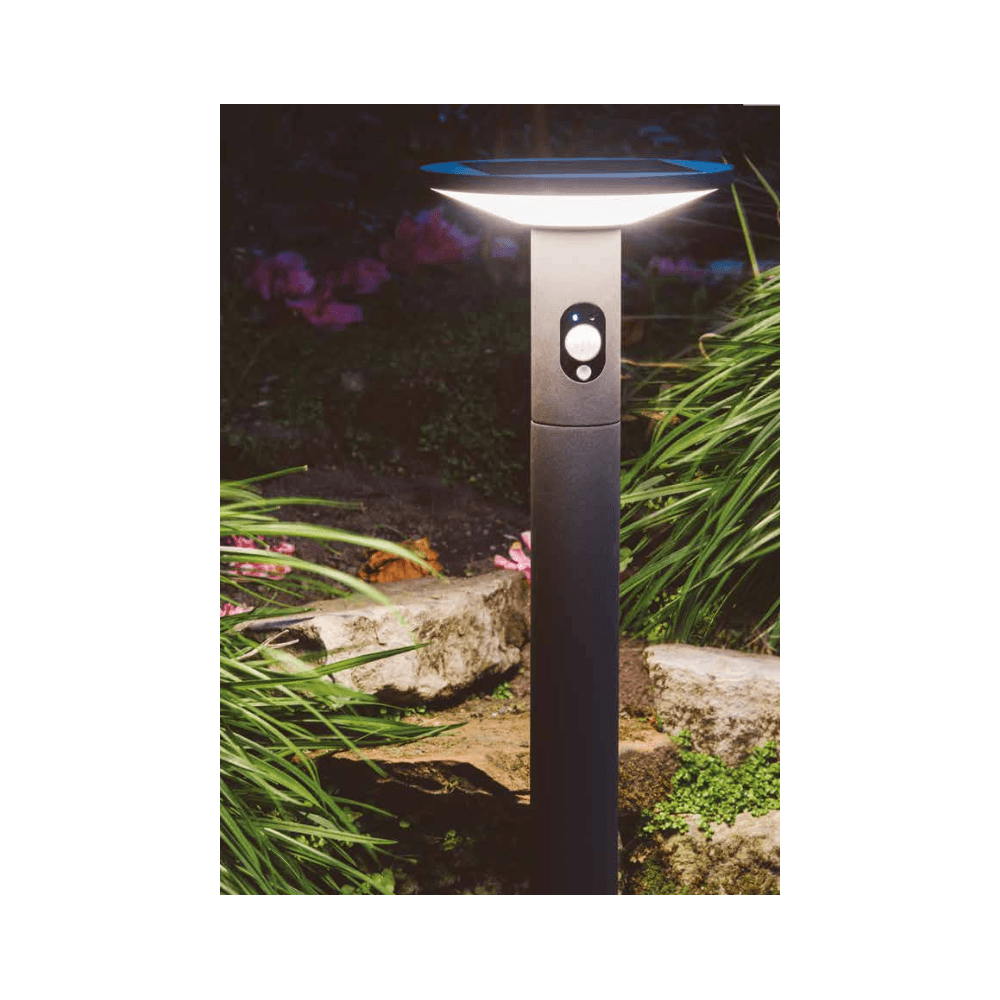 Talana Bollard Light in Graphite IP54