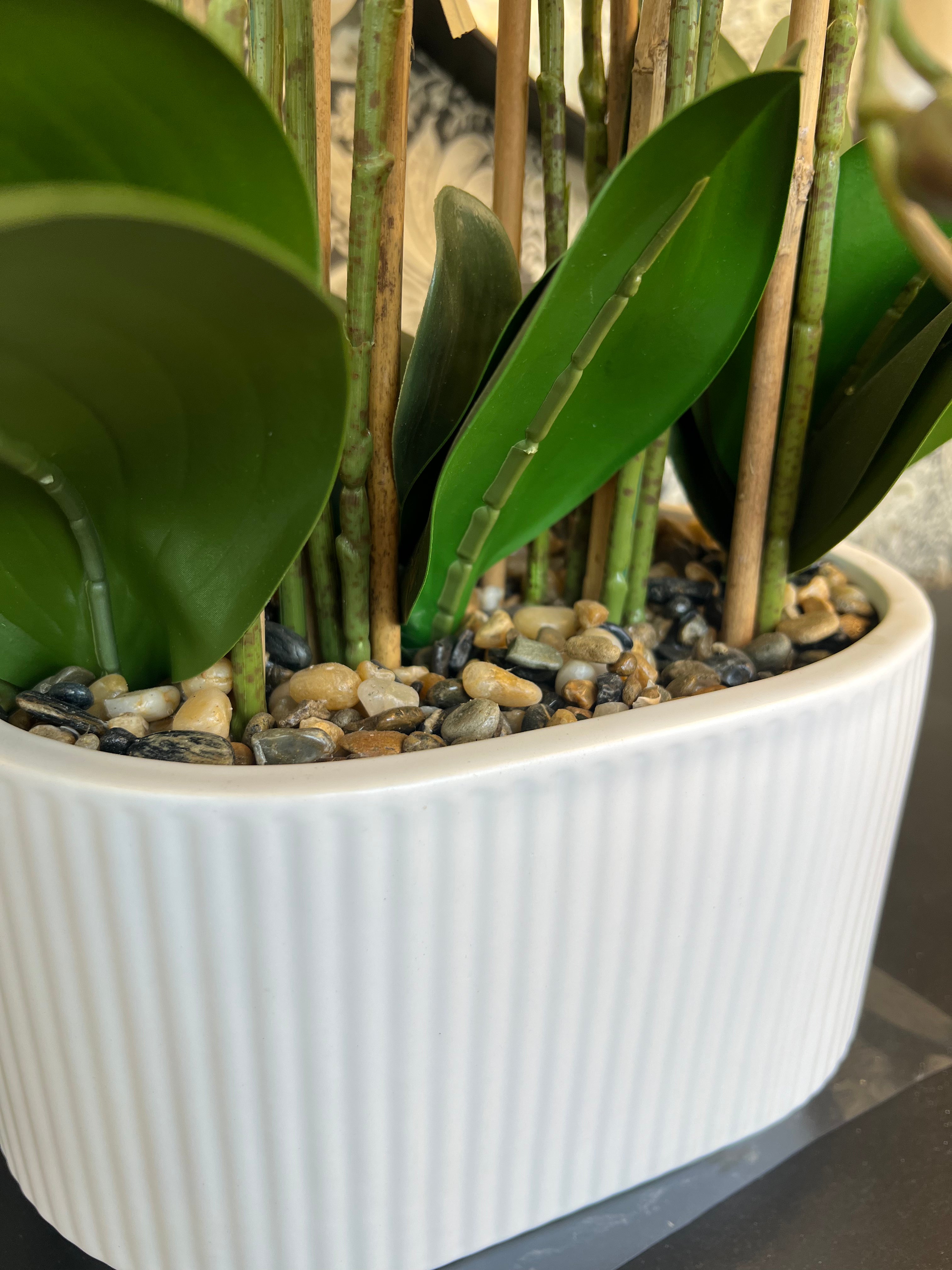 Artificial White Orchid Arrangement