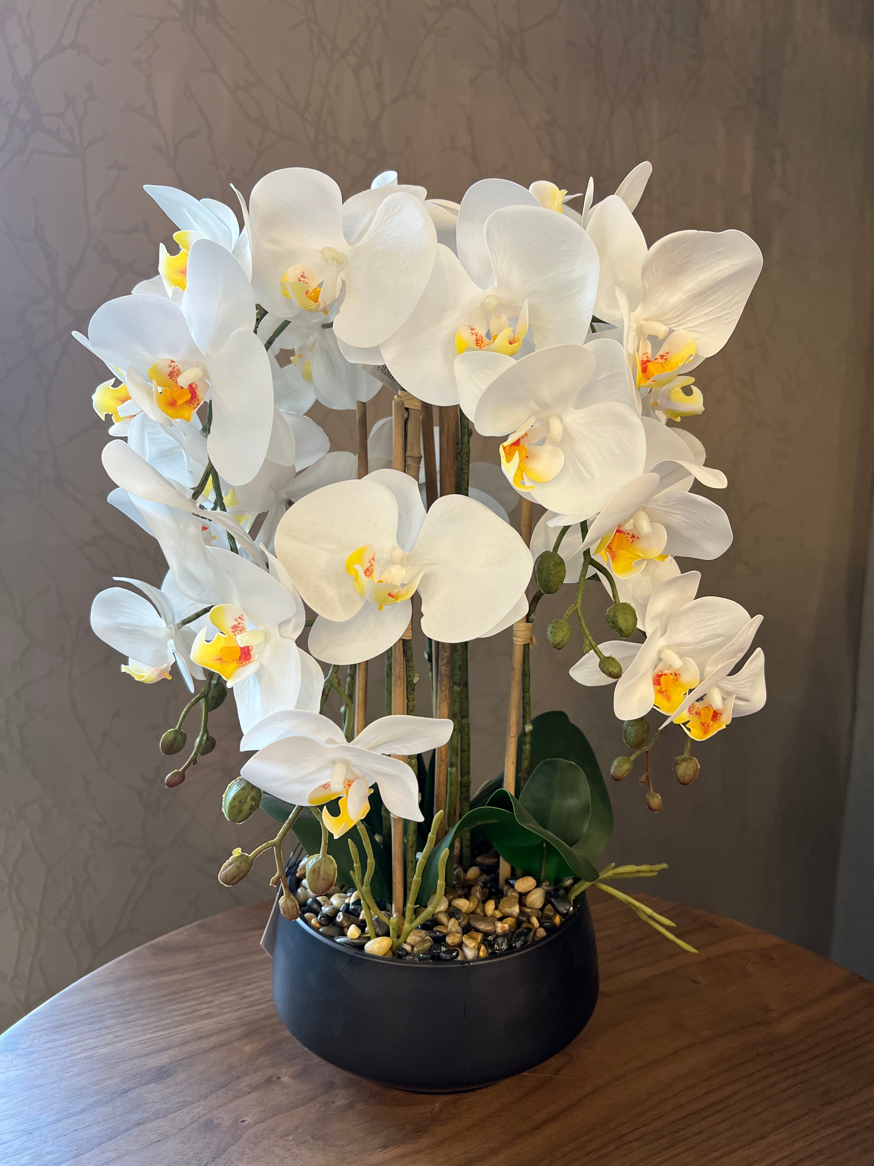 Artificial Orchid in Black Pot