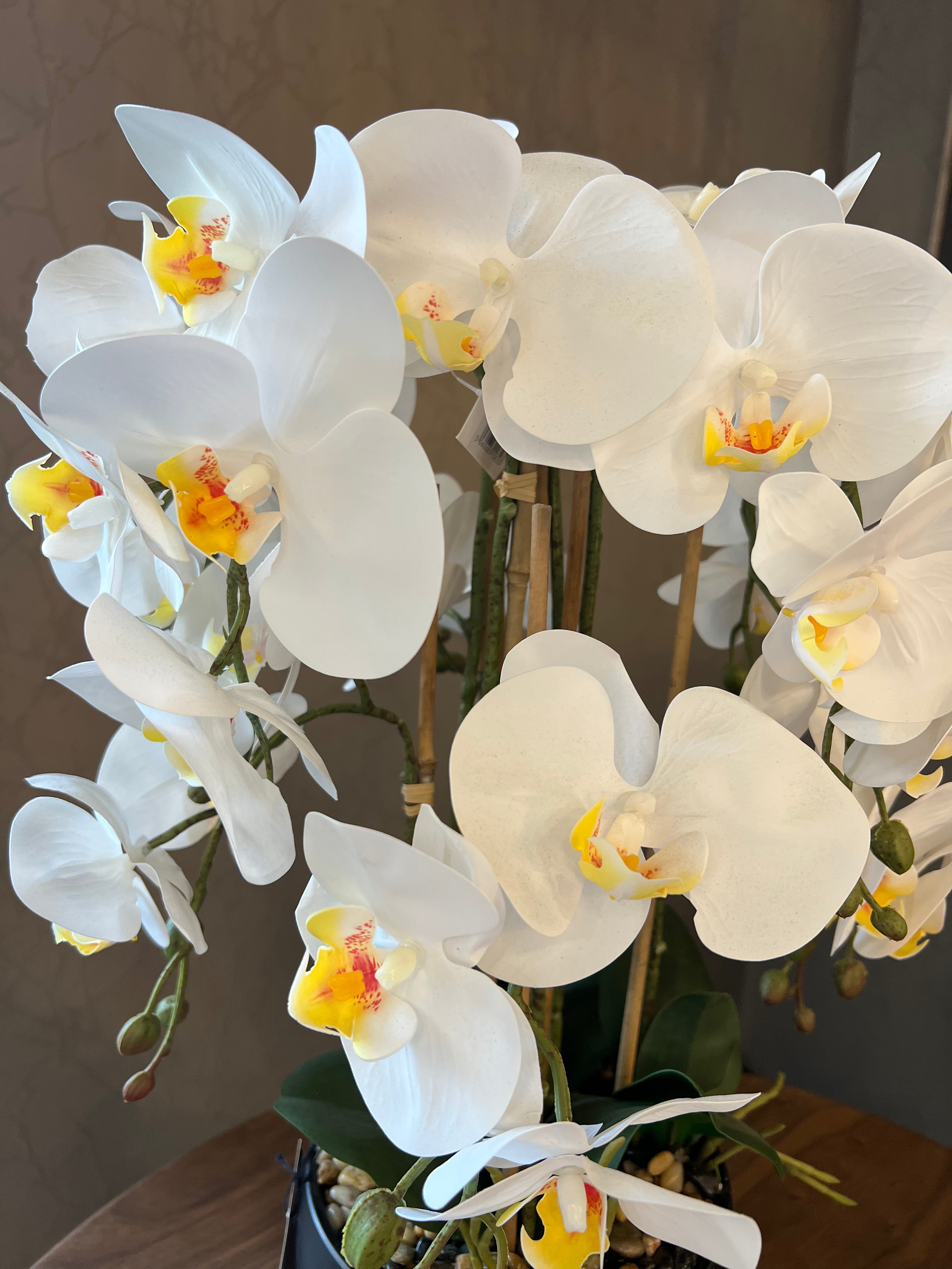 Artificial Orchid in Black Pot