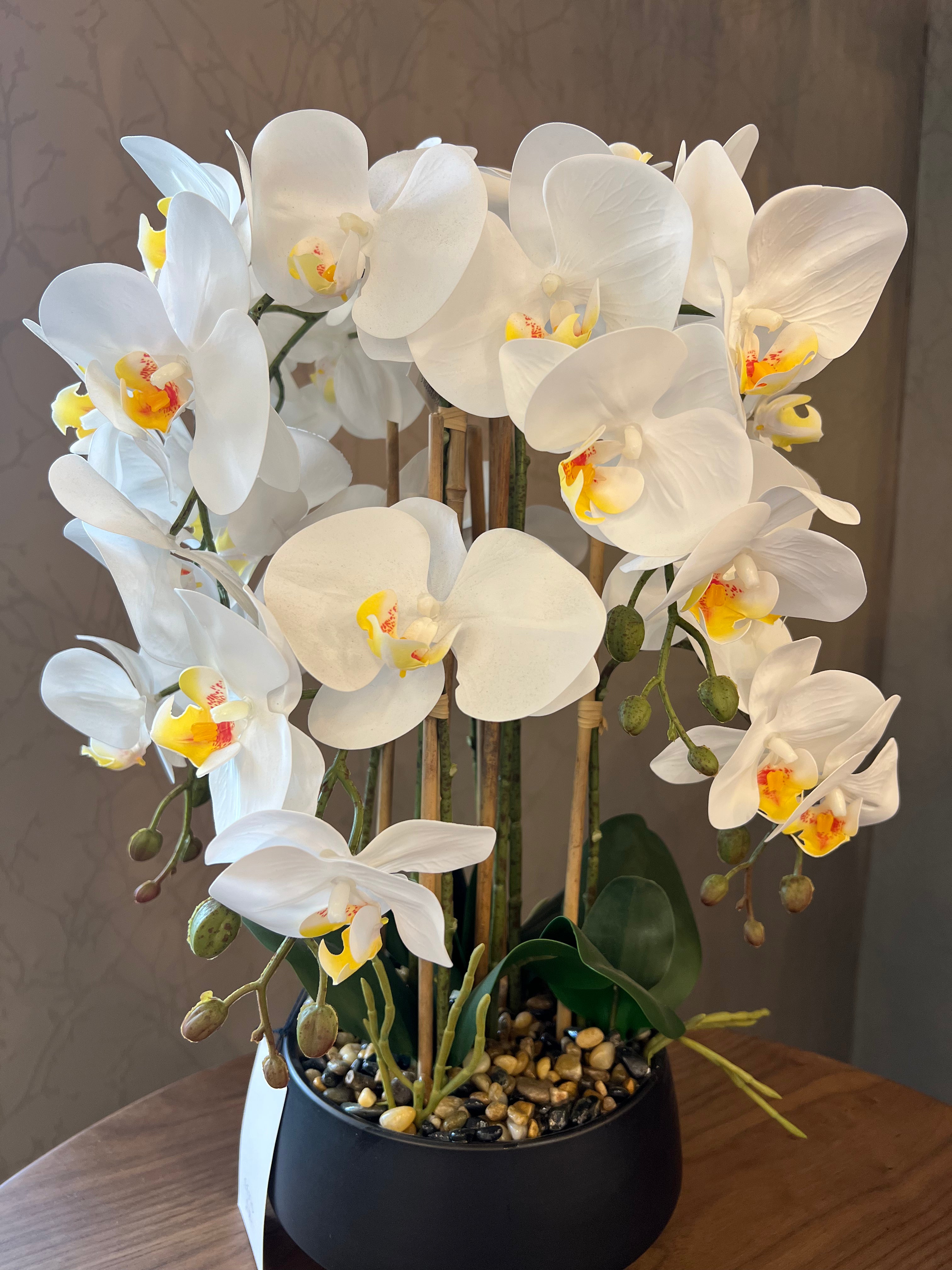 Artificial Orchid in Black Pot