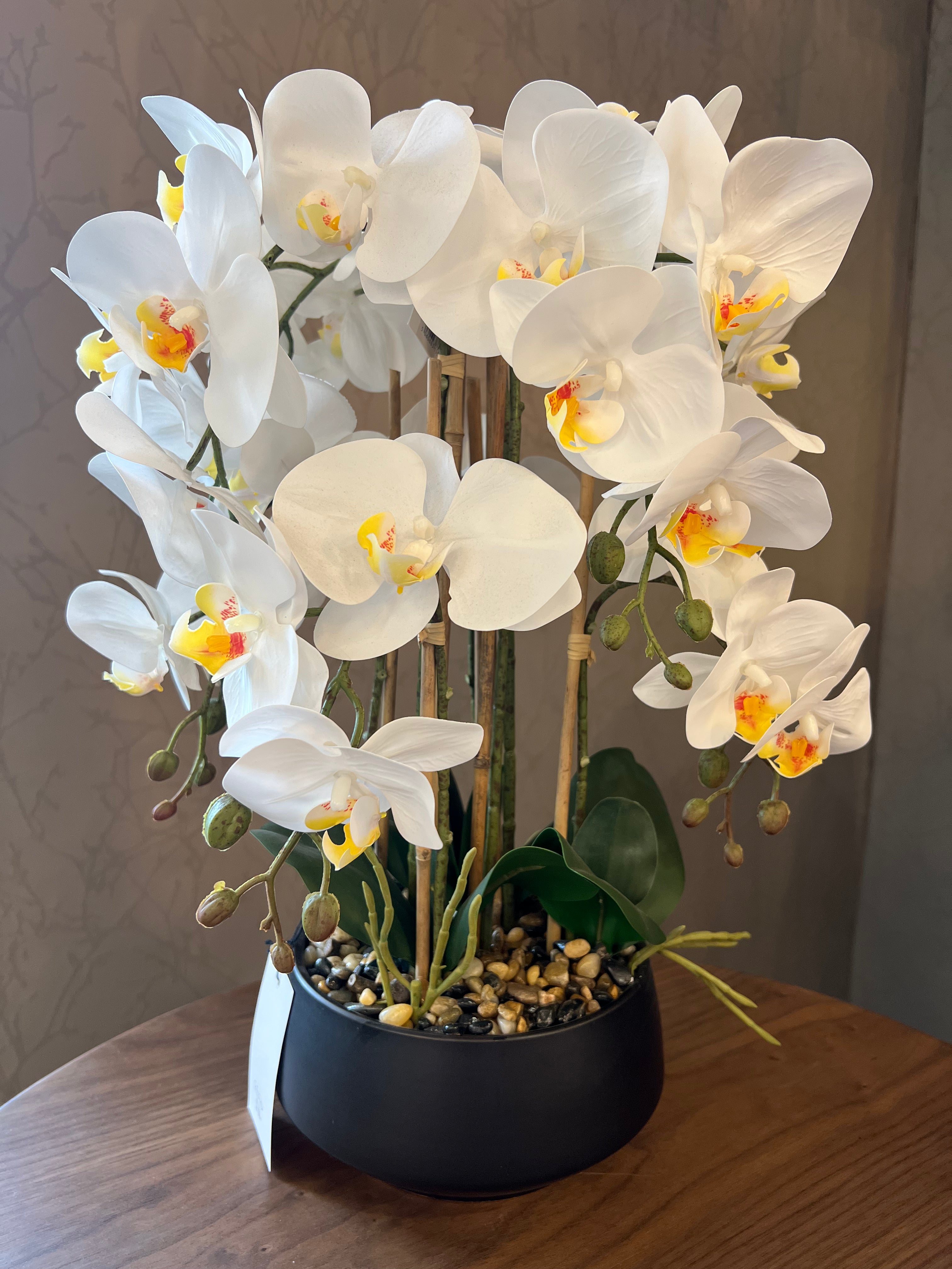 Artificial Orchid in Black Pot