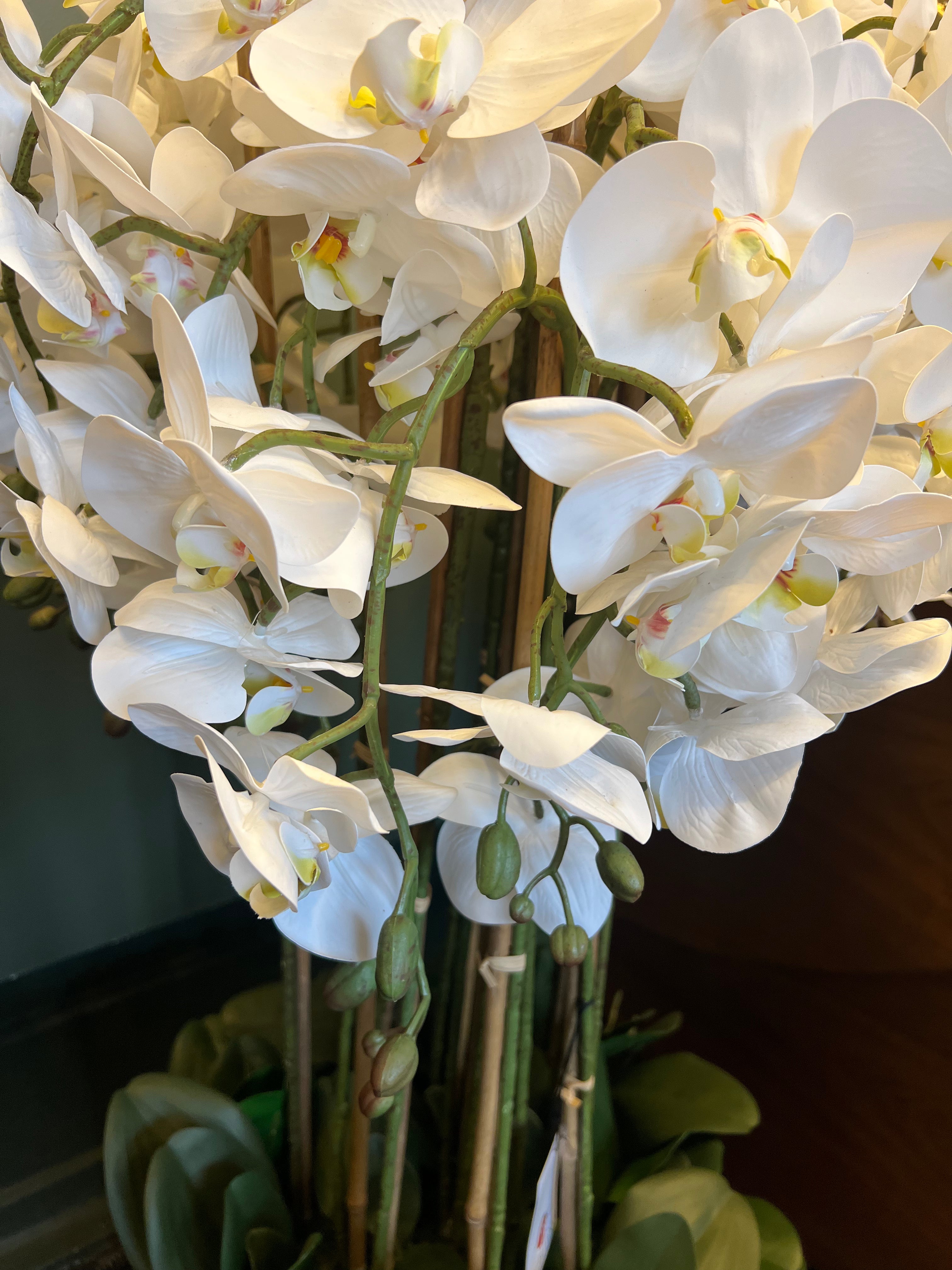 Artificial Orchid Plant with Bark Base