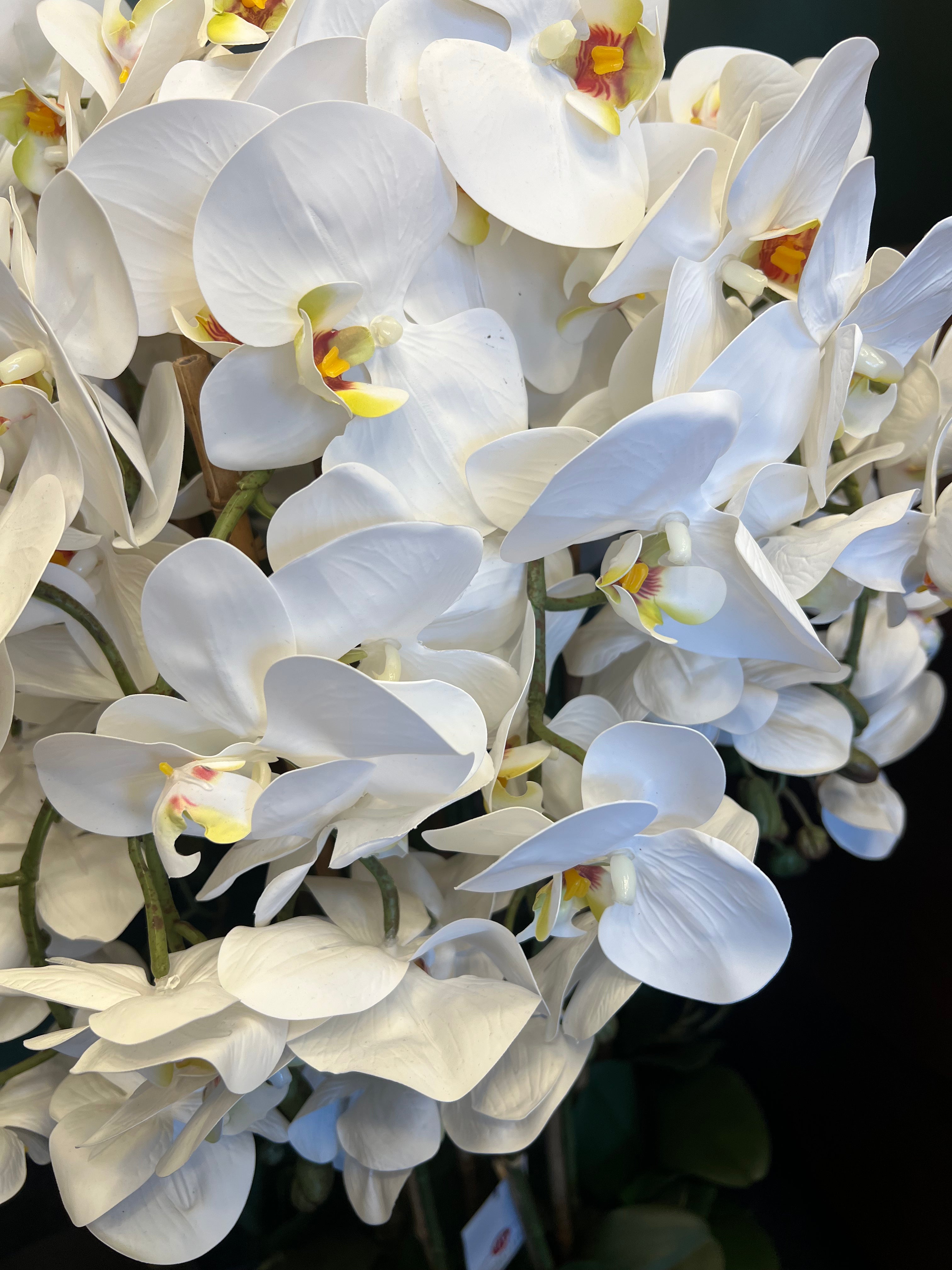 Artificial Orchid Plant with Bark Base