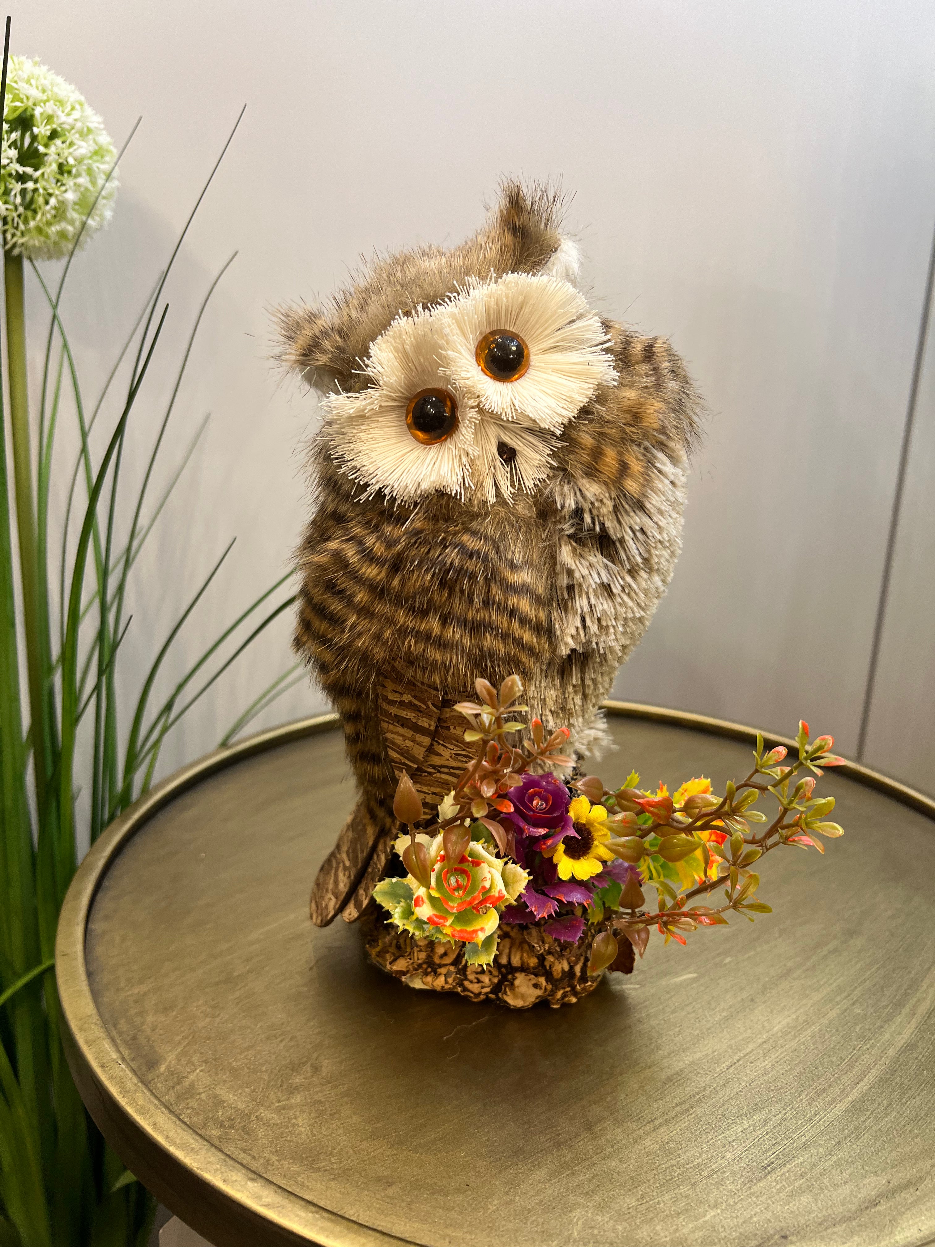Owl on Perch
