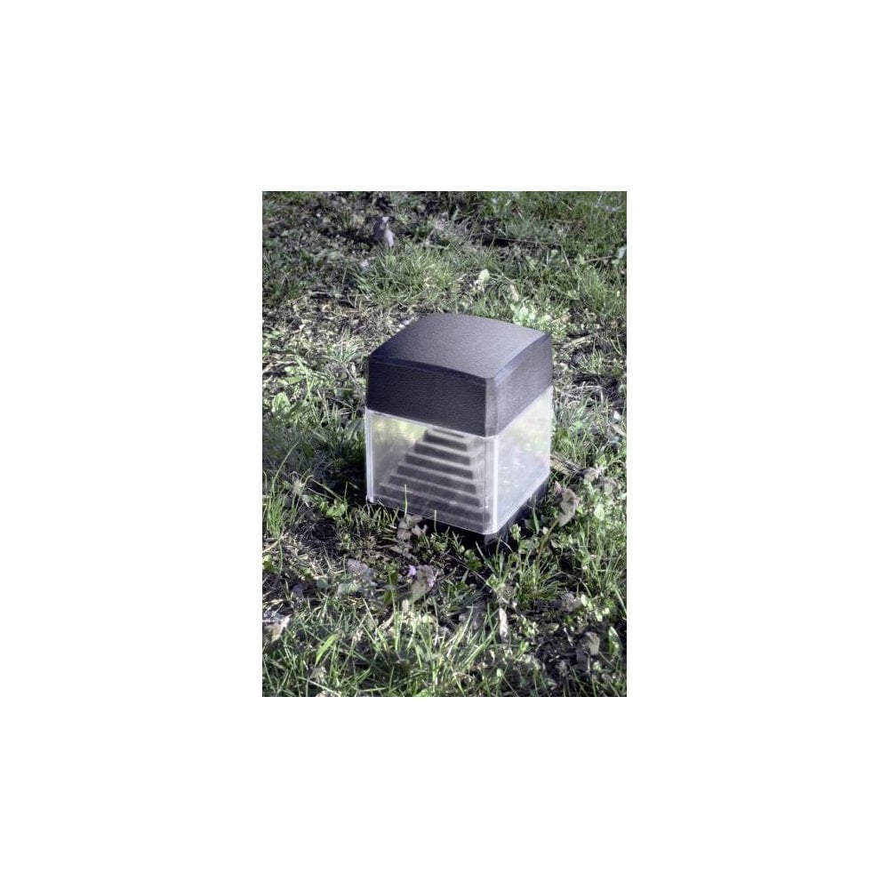 Ester Black 10W Spike Light