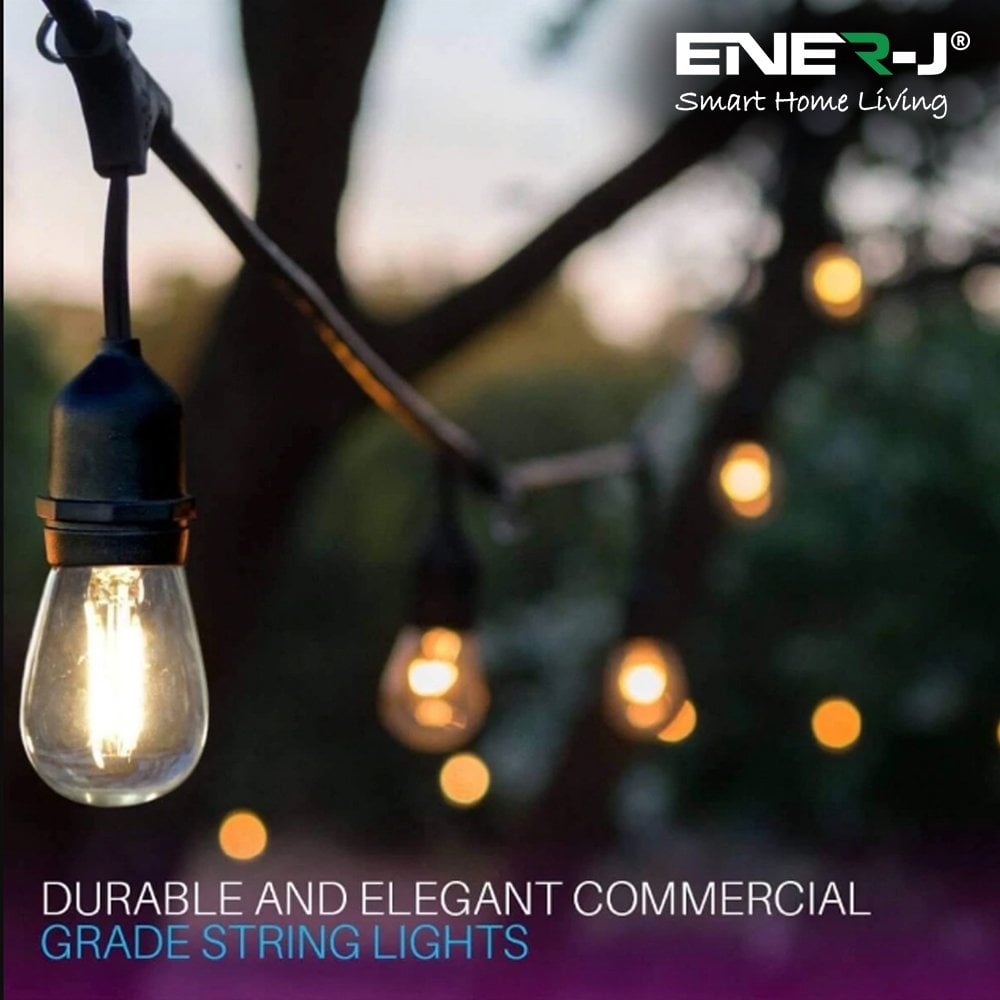 Smart LED Filament String Light Kit