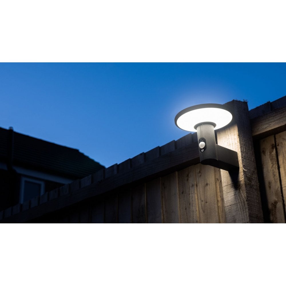 Talana Wall Light in Graphite in IP54