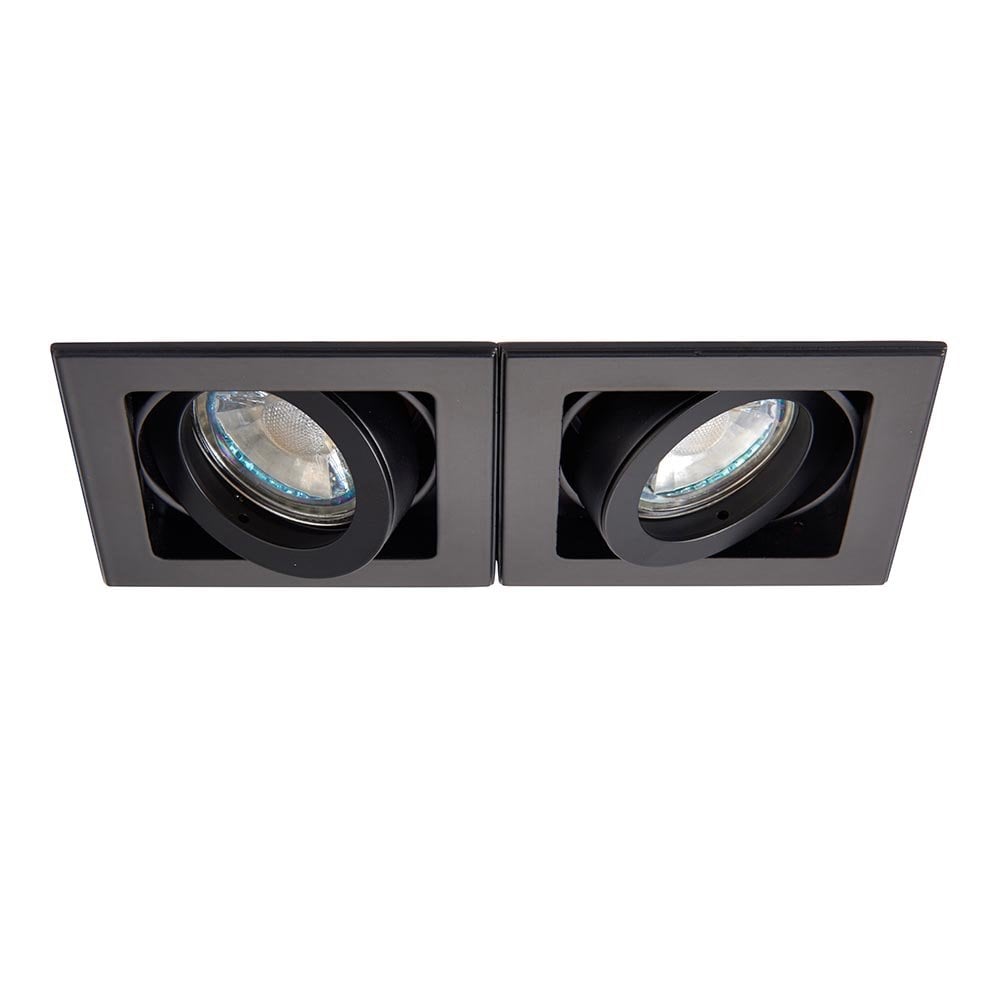 Xeno Twin Downlight in Matt Black
