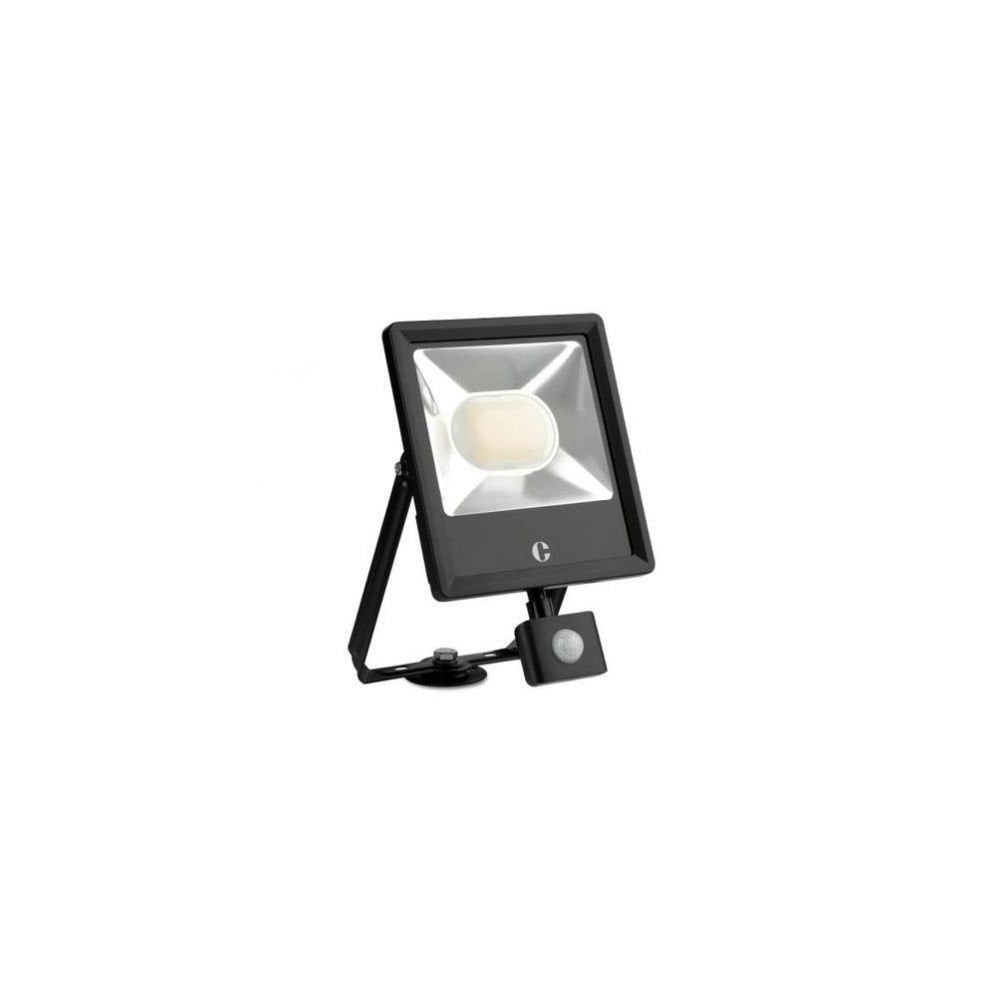 50W Black Floodlight With PIR