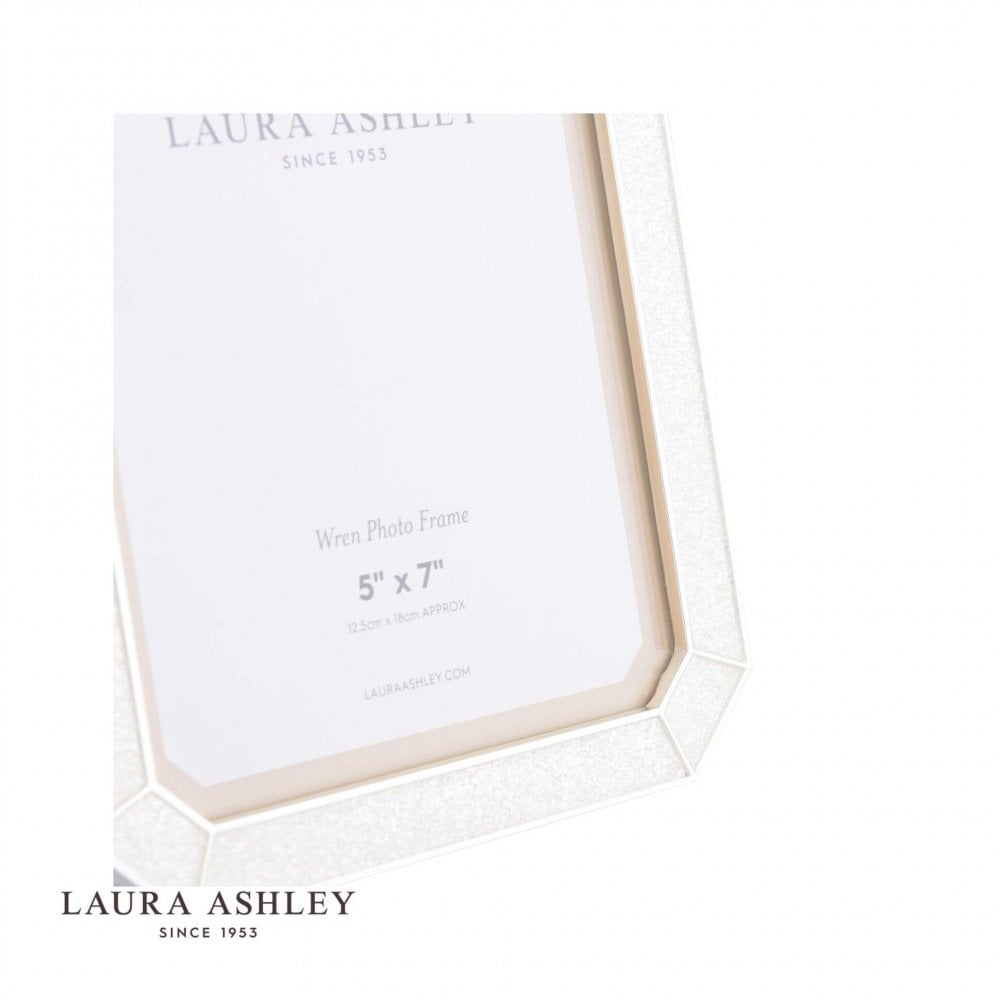 Wren Glitter Silver Plated 5x7 Inch Photo Frame