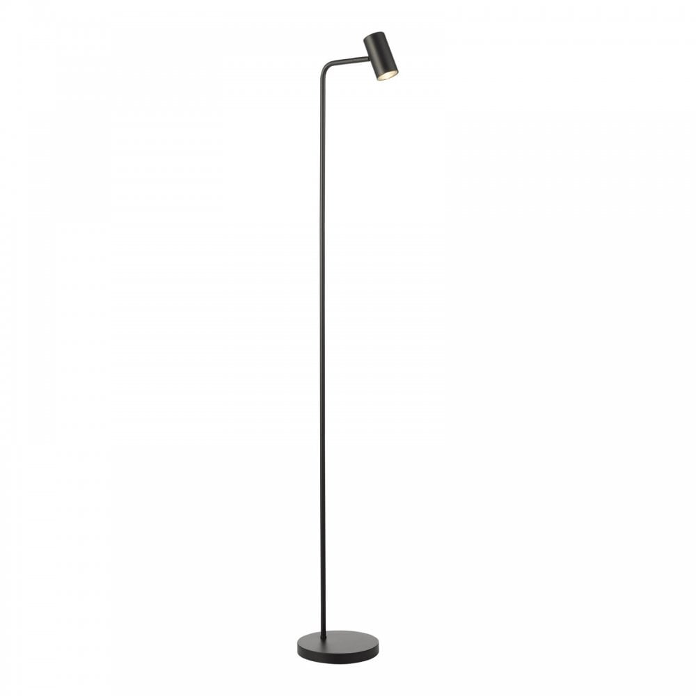 Thierry Matt Black Floor Lamp