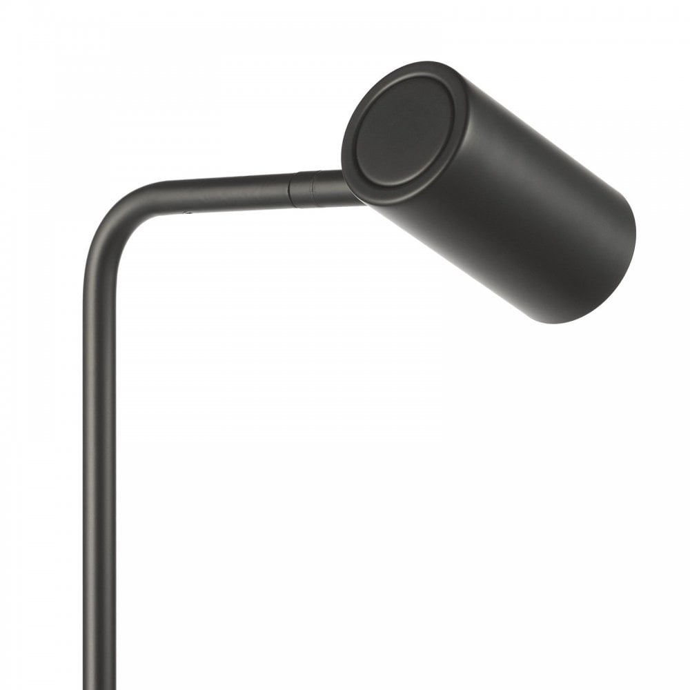 Thierry Matt Black Floor Lamp