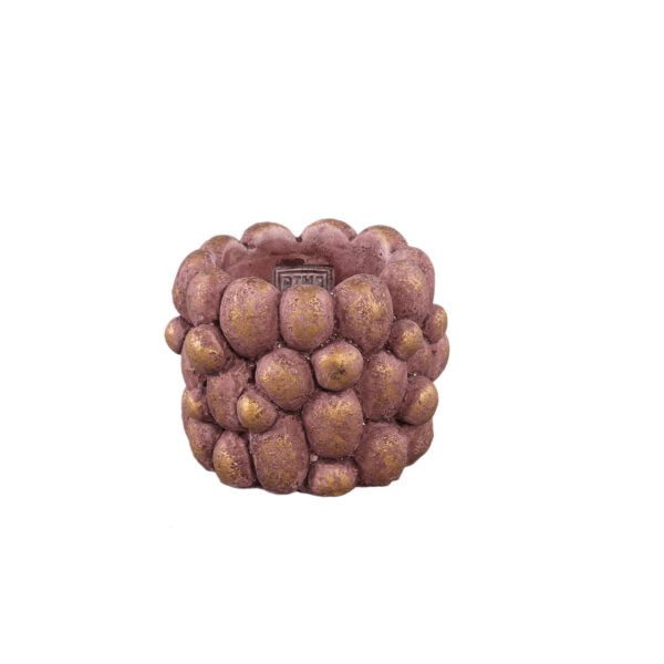 Stenley Berry Pot