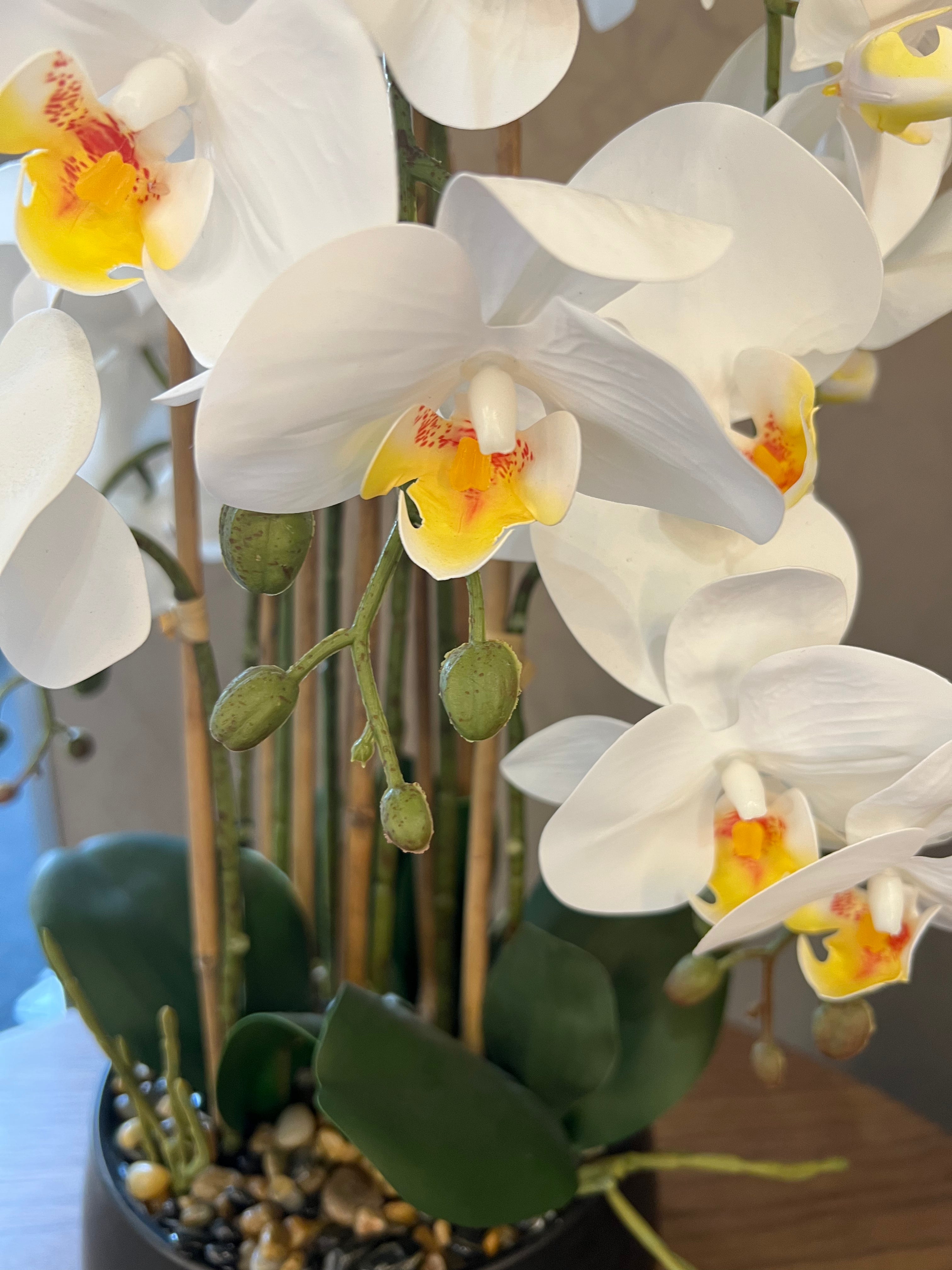 Artificial Orchid in Black Pot
