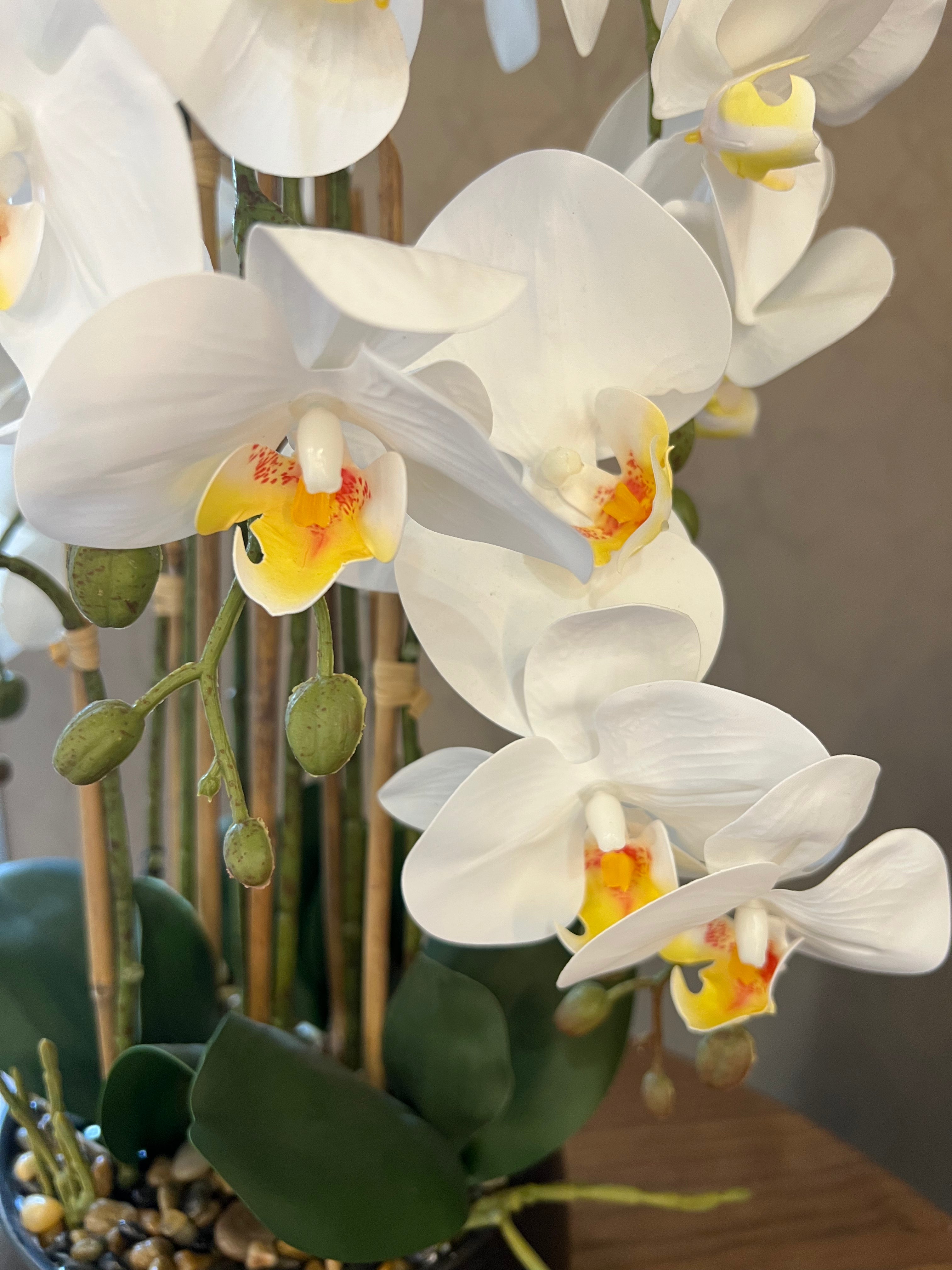 Artificial Orchid in Black Pot