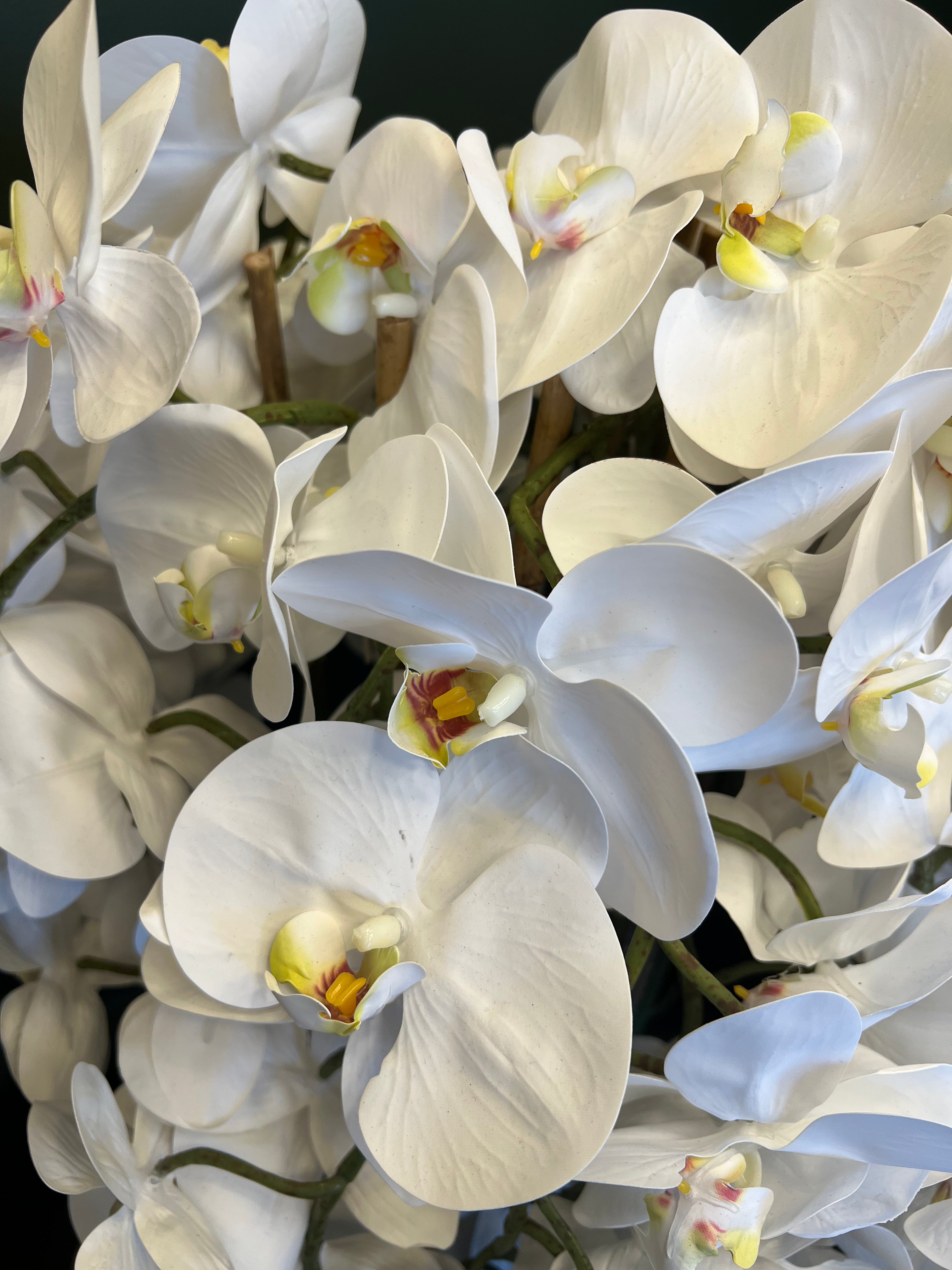 Artificial Orchid Plant with Bark Base