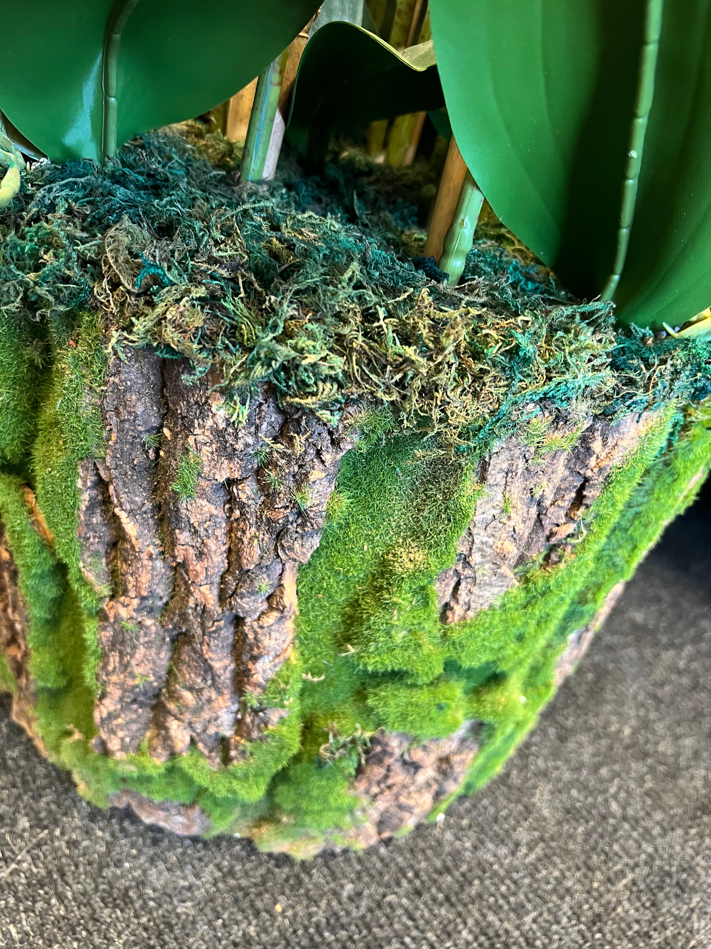 Artificial Orchid Plant with Bark Base