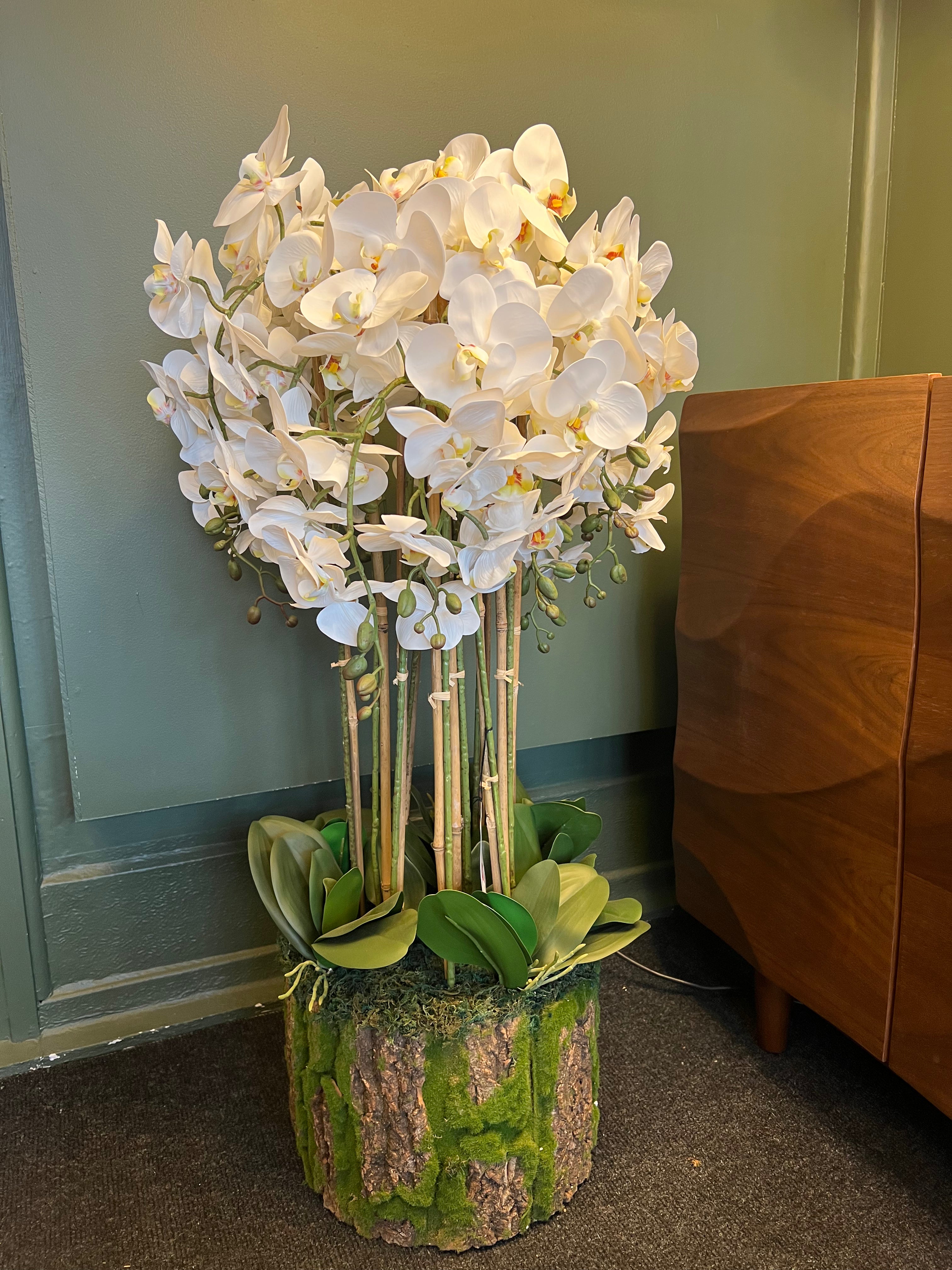 Artificial Orchid Plant with Bark Base