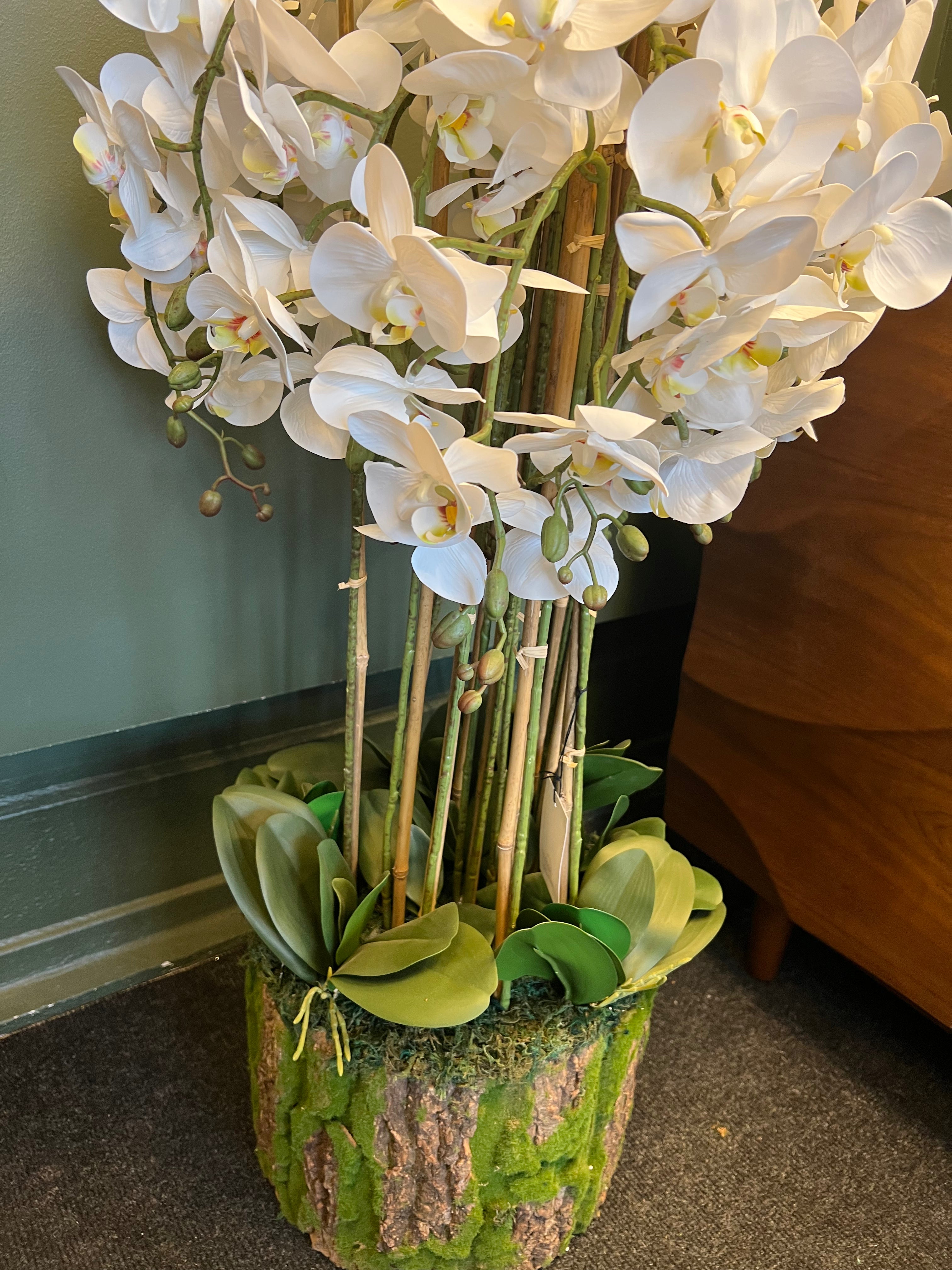 Artificial Orchid Plant with Bark Base
