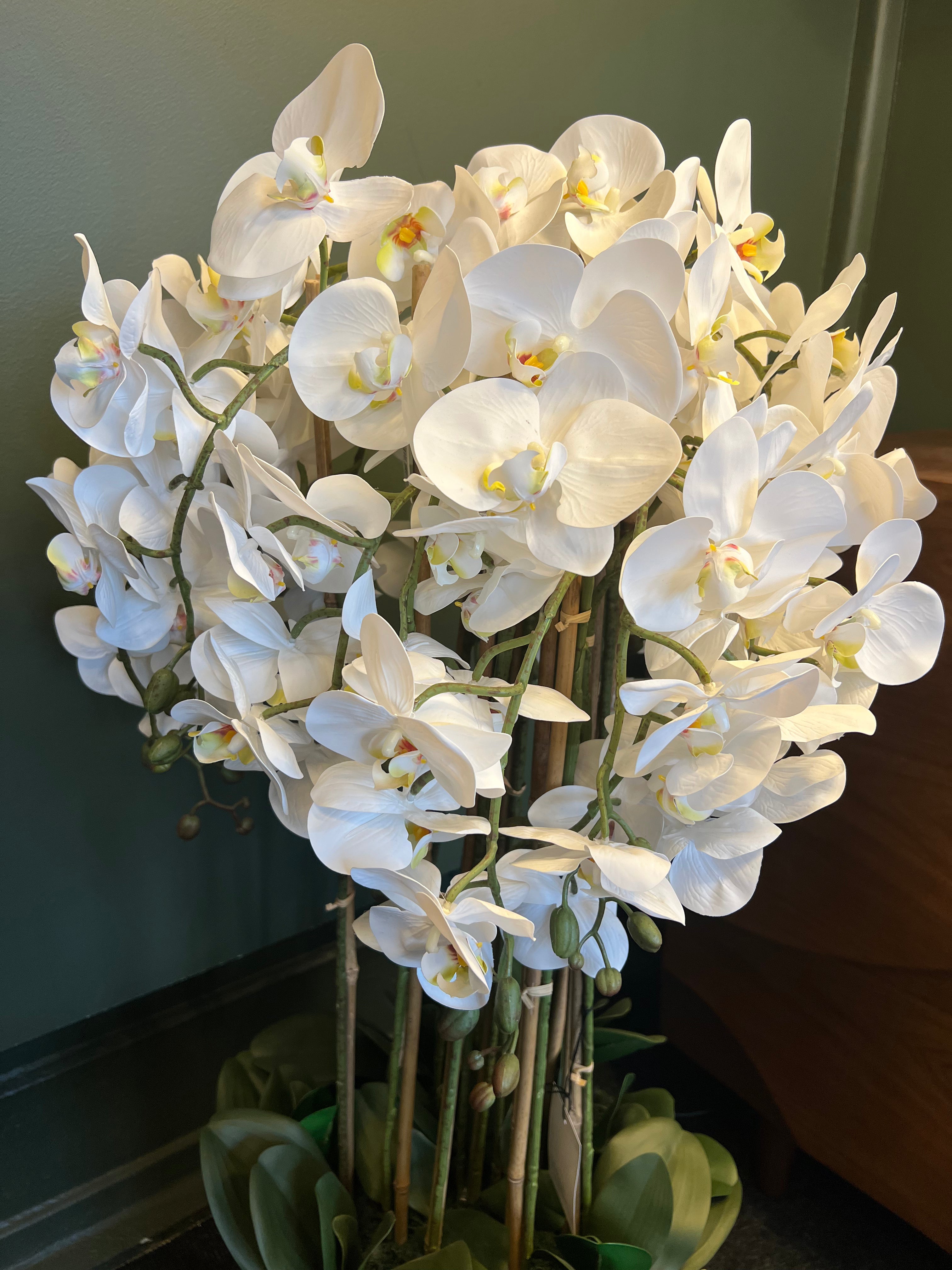 Artificial Orchid Plant with Bark Base