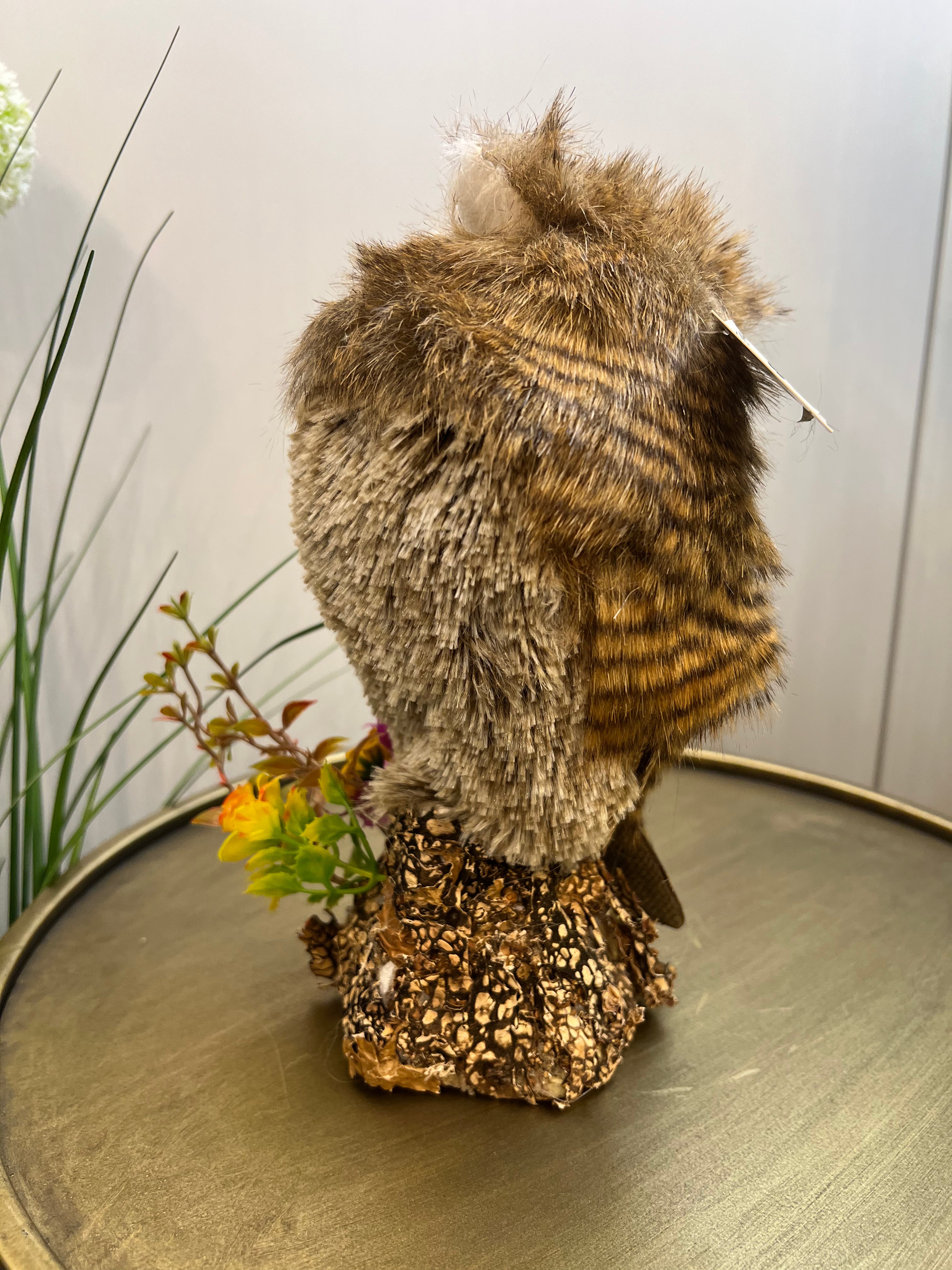 Owl on Perch